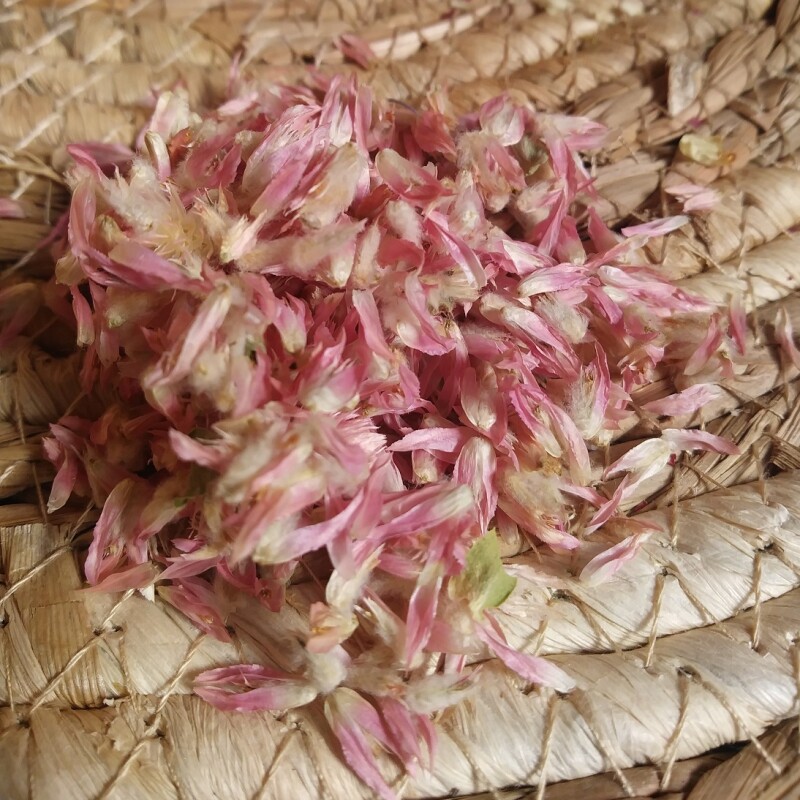 Miettes de Fleurs Séchées