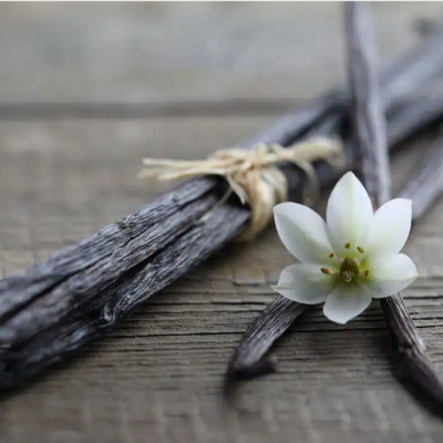 FRAGRANCE DUPE: Précieuse Vanille