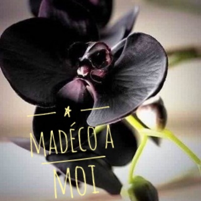 FLEURS: Orchidée Noire